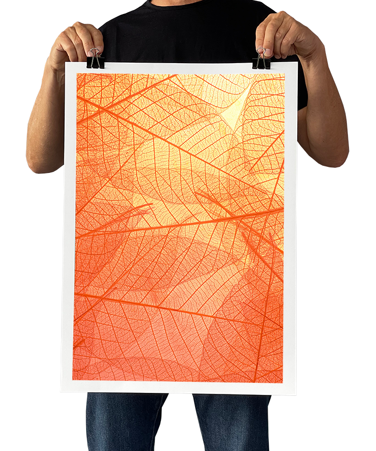 Wall Art Photo Printing Posterfactory Online Poster Printing