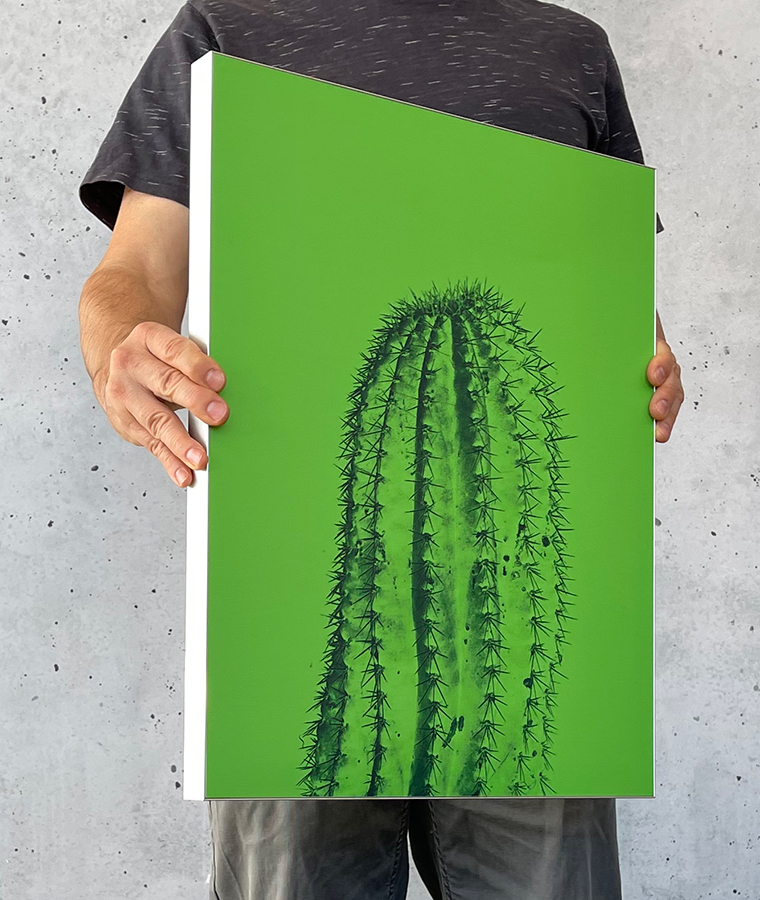 Print + Frame - PosterFactory