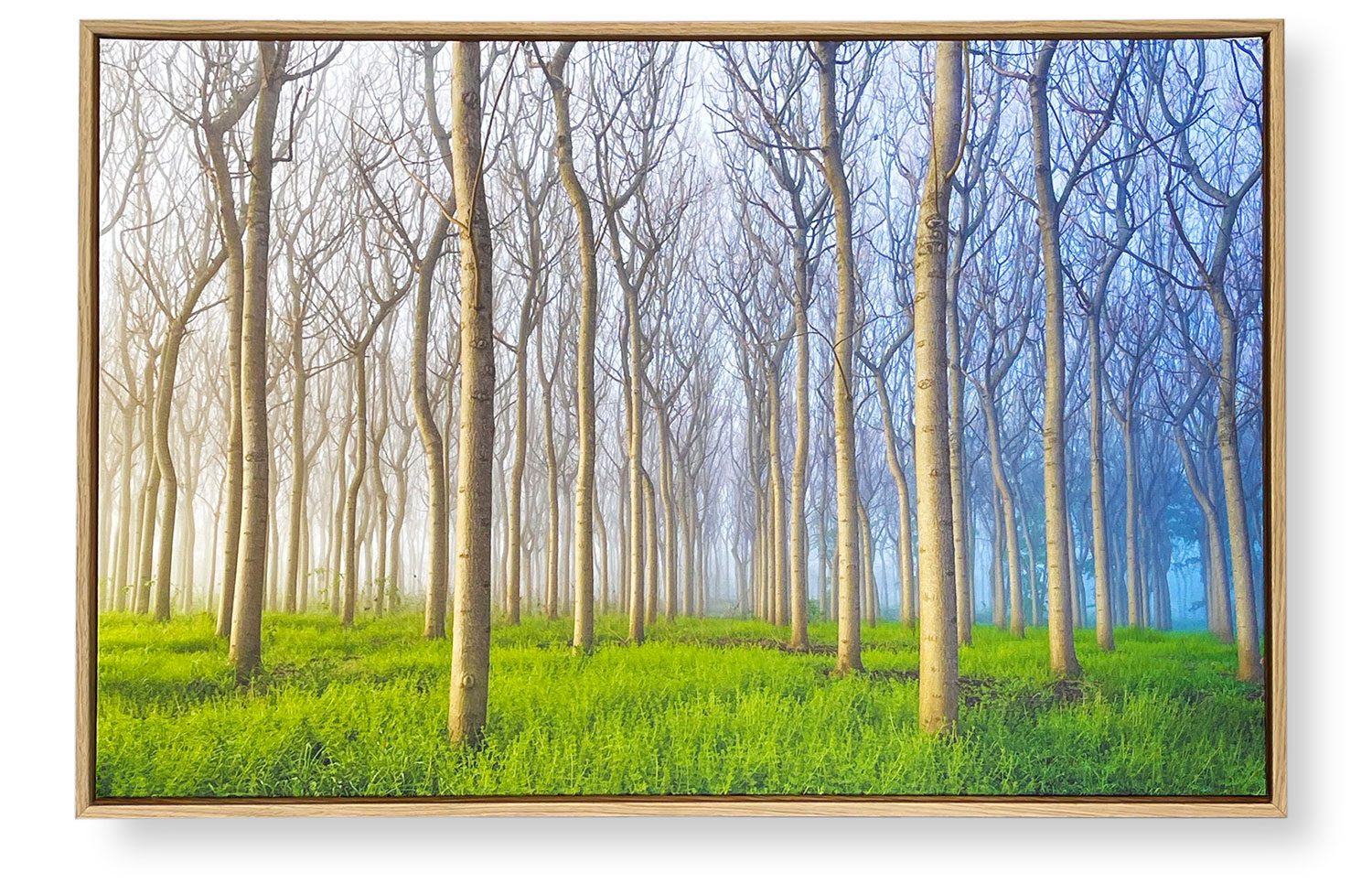 PosterFactory Deluxe Canvas+Frame PosterFactory Deluxe Canvas+Frame